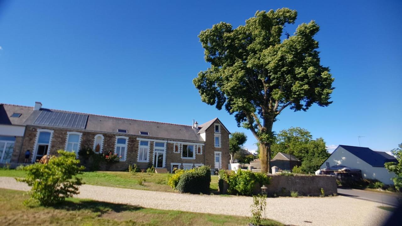 Belle Visnonia B&B Gluten Free & Traditional Béganne Εξωτερικό φωτογραφία