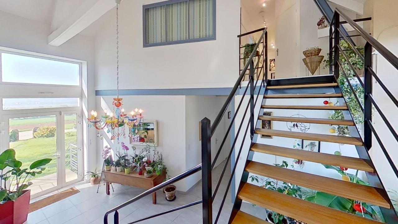 Belle Visnonia B&B Gluten Free & Traditional Béganne Εξωτερικό φωτογραφία